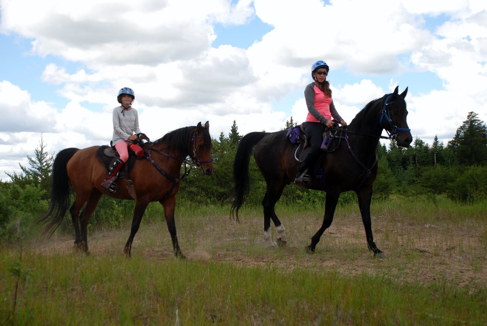 Endurance Riders of Alberta